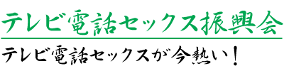 テレビ電話セックス振興会